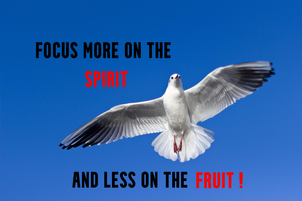 Welcome Holy Spirit as I focus more on you and less on the fruit.